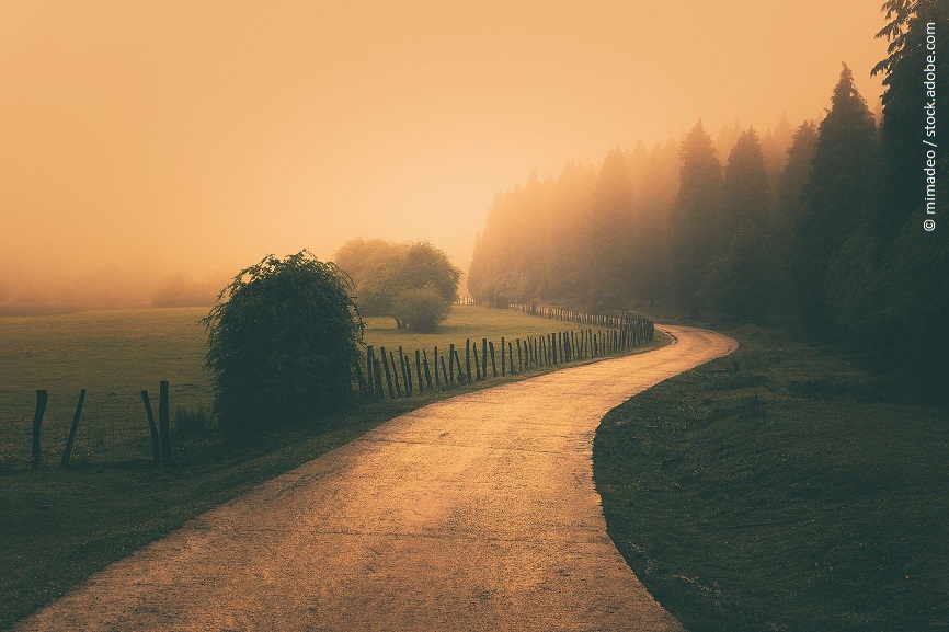 Ein Weg im Sonnenuntergang. Links vom Weg stehen Bäume, rechts davon ein Feld. Es liegt ein leichter Nebel in der Luft. 