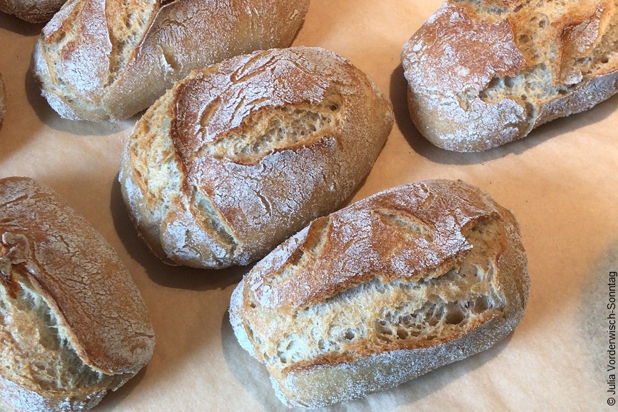 Brötchen die auf Backpapier liegen.