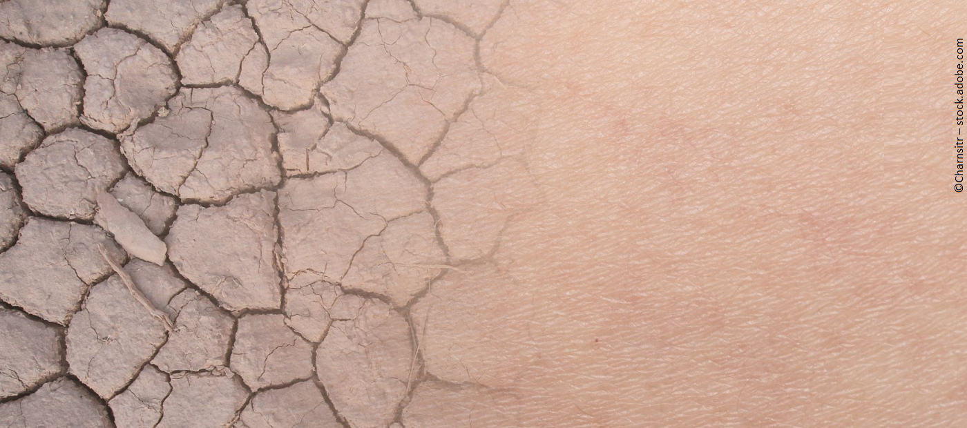 Eine trockene, rissige Fläche geht in eine glatte Fläche über.