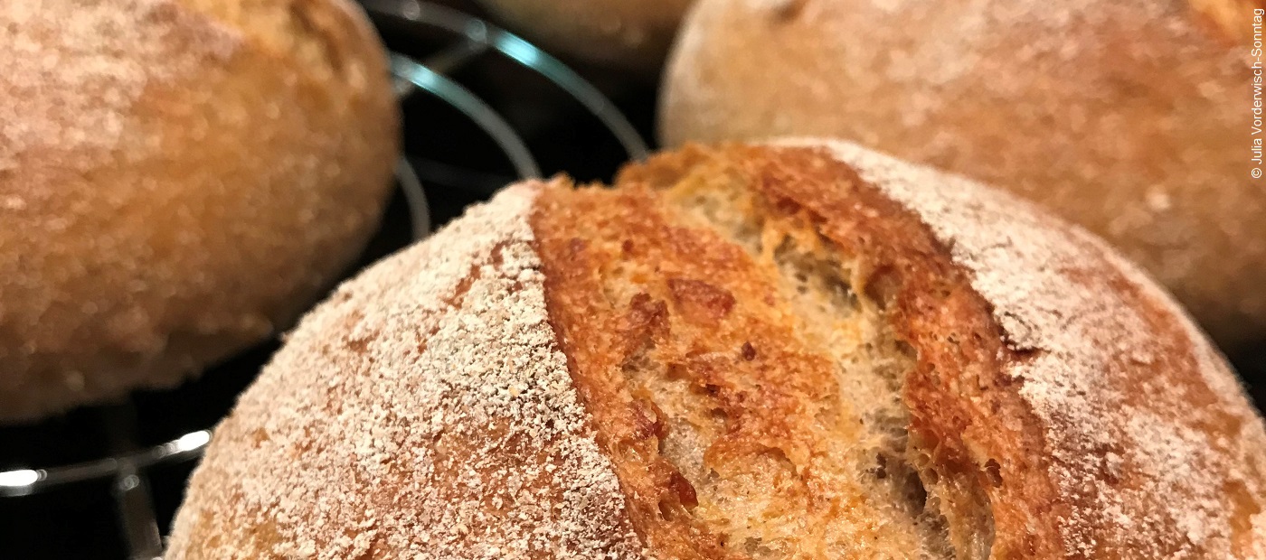 Verschiedene Brötchen liegen auf einem Gitter. 