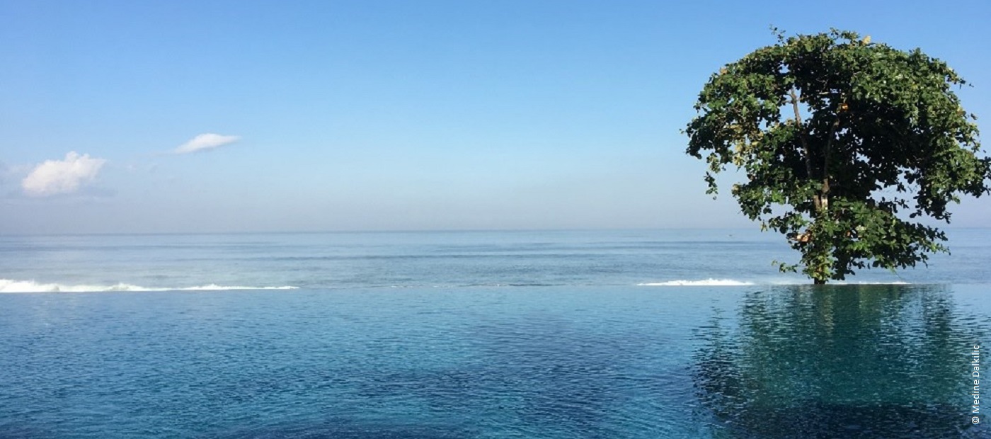 Ein Infinitipool der scheinbar nahtlos ins Meer übergeht. Ein Baum steht an der rechten Seite. 