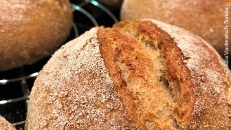 Mehrere Brötchen liegen auf einem Gitter. 