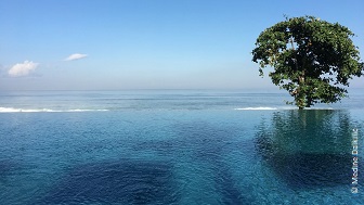 Ein Infinity Pool geht scheinbar Nahtlos ins Meer über. Auf der rechten Seite steht ein grüner Laubbaum. 