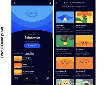 Ein Screenshot von der mobilen App Vik Neurodermitis